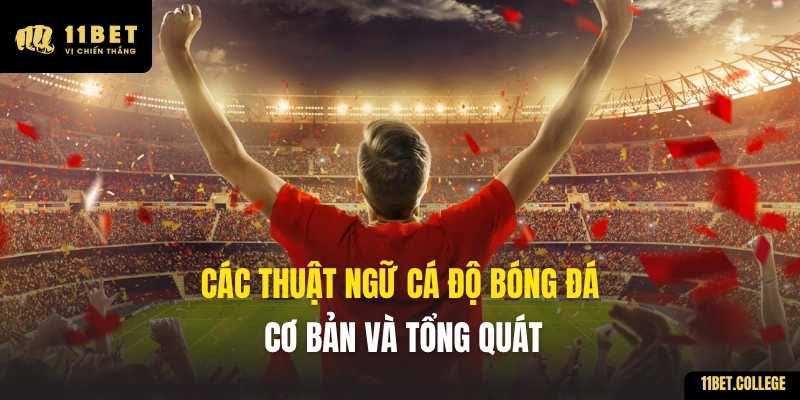 Các thuật ngữ cá độ bóng đá cơ bản và tổng quát