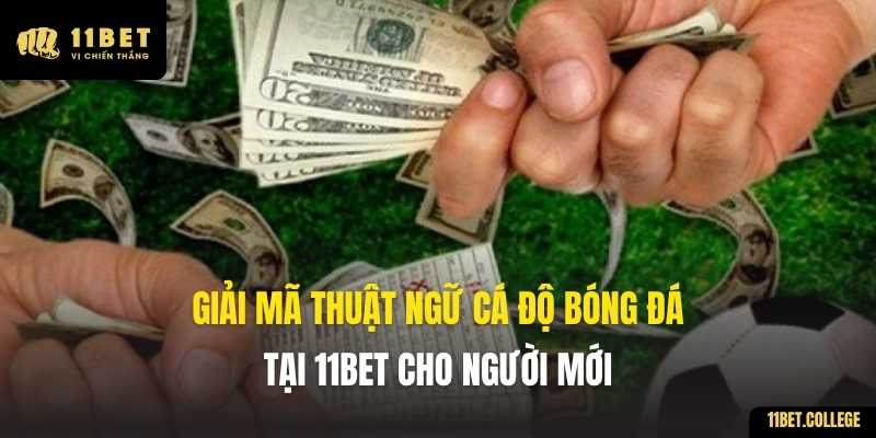 Giải Mã Thuật Ngữ Cá Độ Bóng Đá Tại 11BET Cho Người Mới