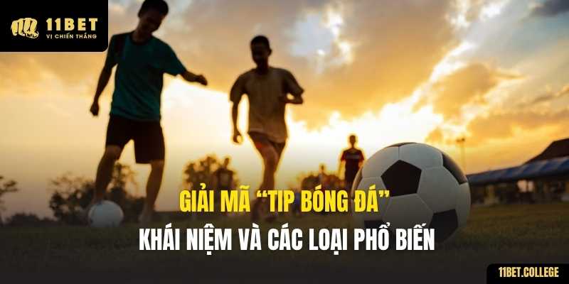 Giải mã "Tip bóng đá" – Khái niệm và các loại phổ biến