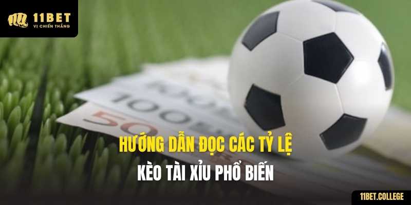 Hướng dẫn đọc các tỷ lệ kèo Tài Xỉu phổ biến