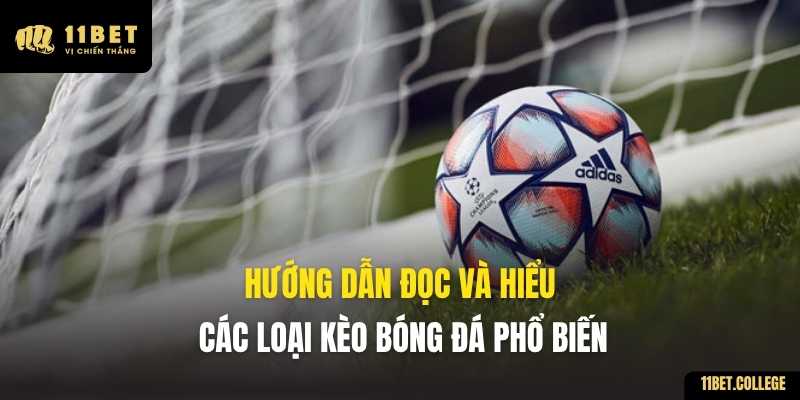 Hướng dẫn đọc và hiểu các loại kèo bóng đá phổ biến