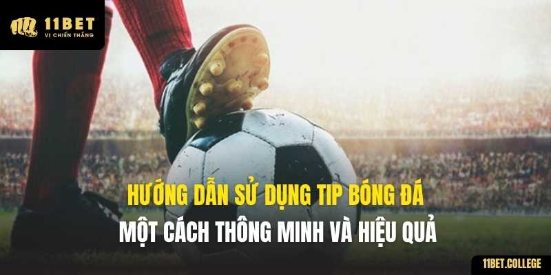 Hướng dẫn sử dụng tip bóng đá một cách thông minh và hiệu quả
