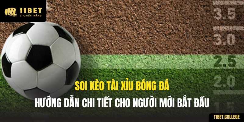 Soi Kèo Tài Xỉu Bóng Đá: Hướng Dẫn Chi Tiết Cho Người Mới Bắt Đầu