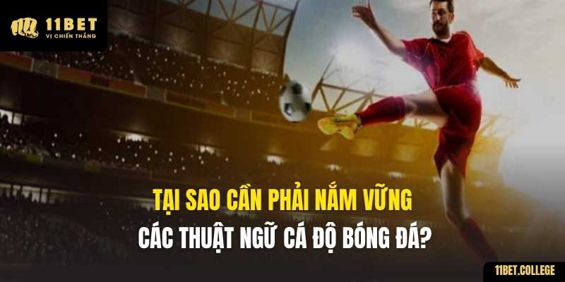Tại sao cần phải nắm vững các thuật ngữ cá độ bóng đá?