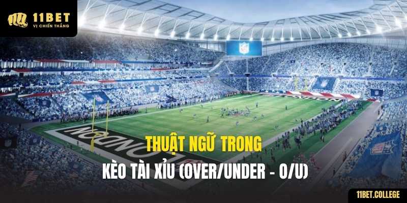 Thuật ngữ trong Kèo Tài Xỉu (Over/Under - O/U)