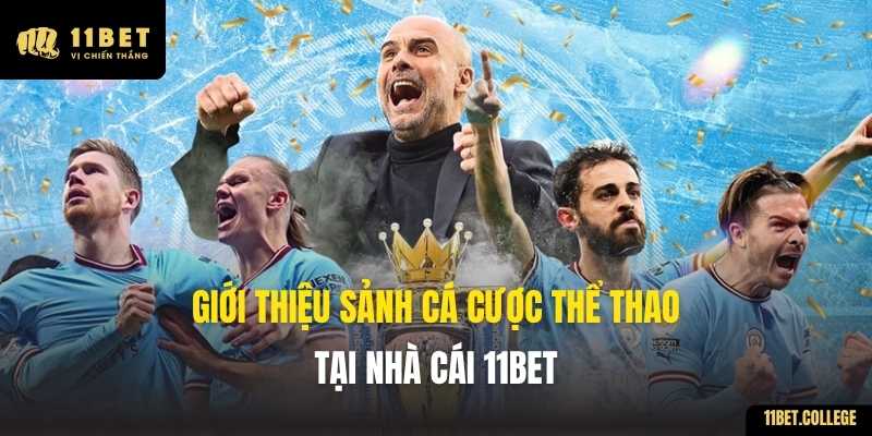 Giới thiệu sảnh cá cược thể thao tại nhà cái 11BET