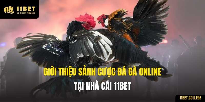 Giới thiệu sảnh cược đá gà online tại nhà cái 11BET