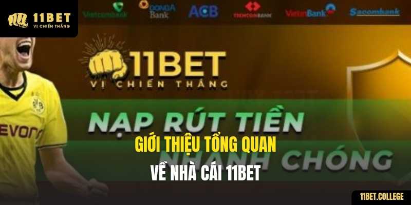 Giới thiệu tổng quan về nhà cái 11BET
