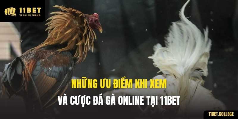 Những ưu điểm khi xem và cược đá gà online tại 11BET