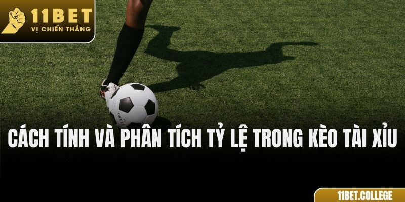 Cách tính và phân tích tỷ lệ trong kèo tài xỉu