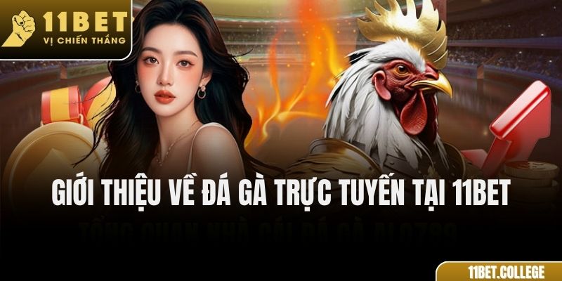 Giới Thiệu Về Đá Gà Trực Tuyến Tại 11Bet
