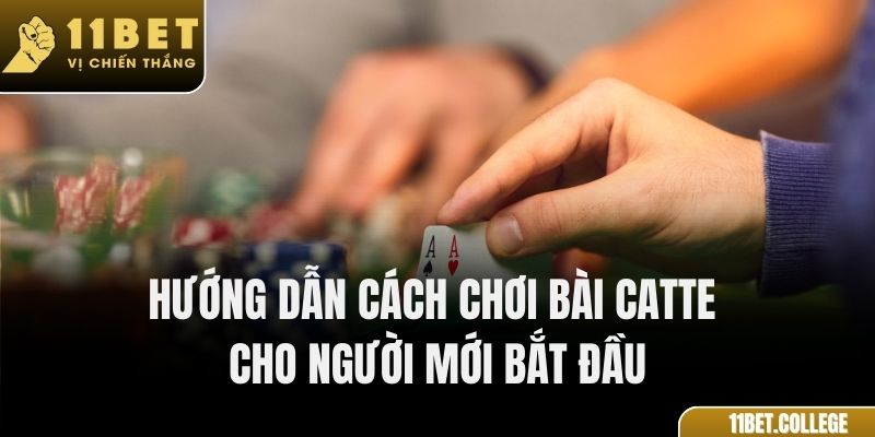 Hướng dẫn cách chơi bài Catte cho người mới bắt đầu