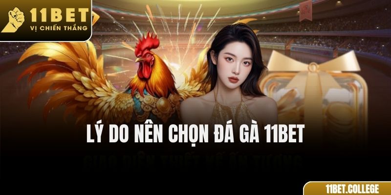 Lý Do Nên Chọn Đá Gà 11Bet