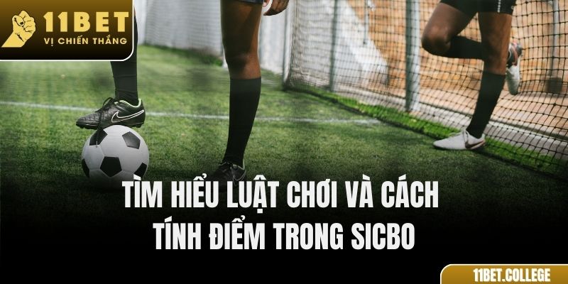 Tìm hiểu luật chơi và cách tính điểm trong Sicbo